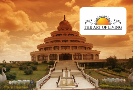 Art of Living Picky Assist Client